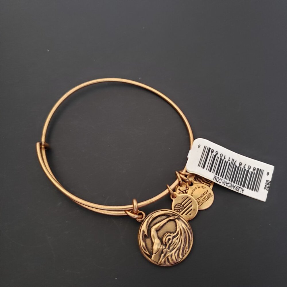 NWT Alex and Ani Team USA Swimming Charm Bracelet 738